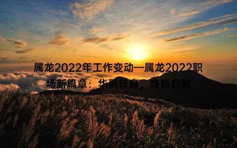 属龙2022年工作变动—属龙2022职场新篇章：华丽转身，焕新启航