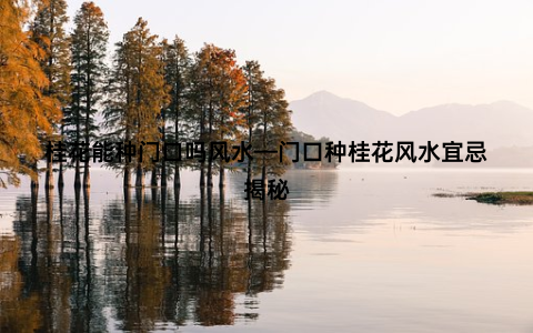 桂花能种门口吗风水—门口种桂花风水宜忌揭秘