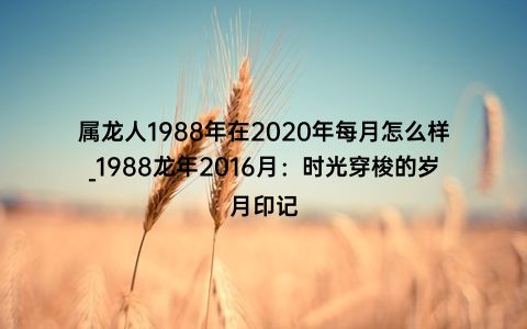 属龙人1988年在2020年每月怎么样_1988龙年2016月：时光穿梭的岁月印记