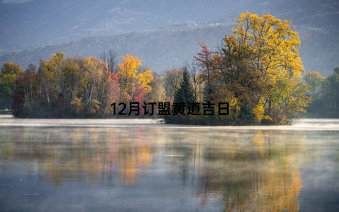 12月订盟黄道吉日