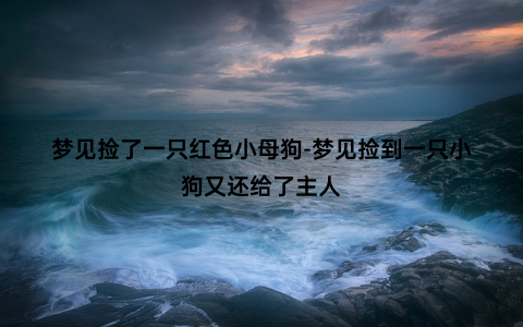 梦见捡了一只红色小母狗-梦见捡到一只小狗又还给了主人