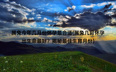 属兔今年几月份怀孕最合适(属兔几月怀孕出生命最好？揭秘最佳生育月份)