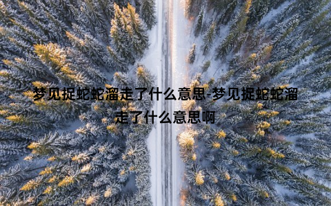 梦见捉蛇蛇溜走了什么意思-梦见捉蛇蛇溜走了什么意思啊