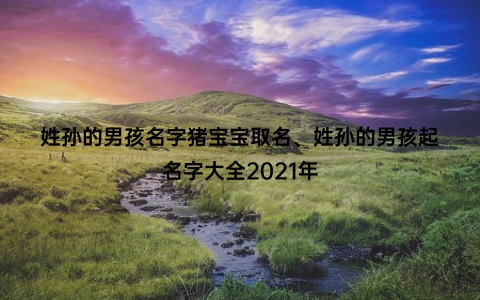 姓孙的男孩名字猪宝宝取名、姓孙的男孩起名字大全2021年