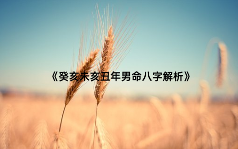 《癸亥未亥丑年男命八字解析》