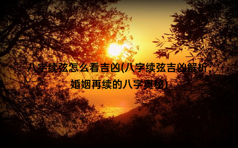 八字续弦怎么看吉凶(八字续弦吉凶解析：婚姻再续的八字奥秘)