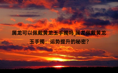 属龙可以佩戴黄龙玉手镯吗_属龙佩戴黄龙玉手镯：运势提升的秘密？