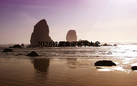 2028姓吴宝宝名字大全