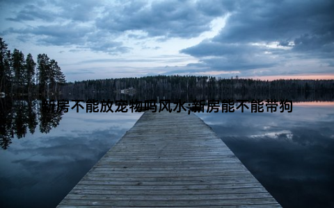 新房不能放宠物吗风水;新房能不能带狗