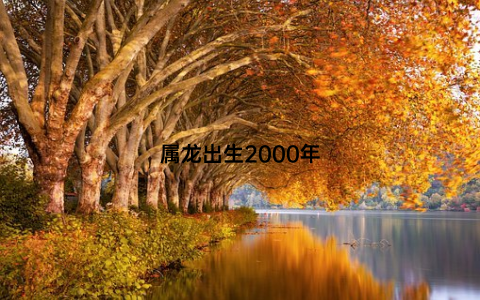 属龙出生2000年