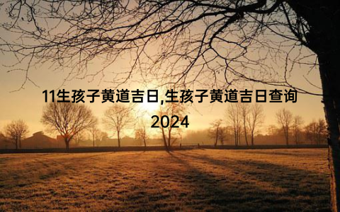 11生孩子黄道吉日,生孩子黄道吉日查询2024