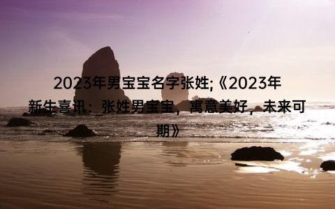 2023年男宝宝名字张姓;《2023年新生喜讯：张姓男宝宝，寓意美好，未来可期》