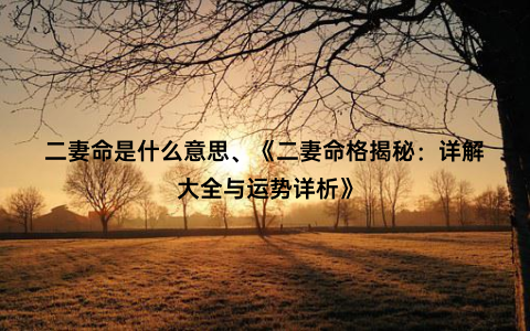 二妻命是什么意思、《二妻命格揭秘：详解大全与运势详析》