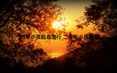 23年小孩起名流行_二零年小孩起名