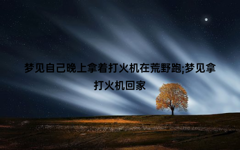 梦见自己晚上拿着打火机在荒野跑;梦见拿打火机回家