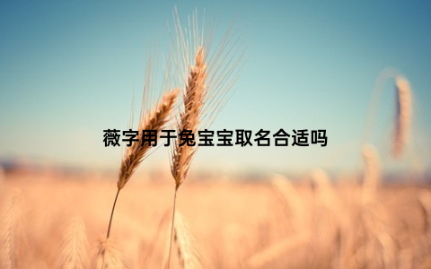 薇字用于兔宝宝取名合适吗