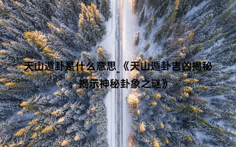 天山遁卦是什么意思_《天山遁卦吉凶揭秘：揭示神秘卦象之谜》