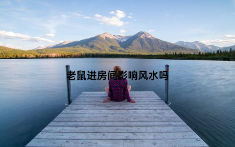 老鼠进房间影响风水吗