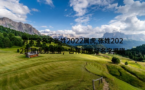 男宝宝名字张姓2022属虎,张姓2022年属虎男宝宝，吉祥如意好名字揭晓