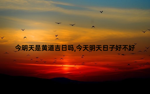 今明天是黄道吉日吗,今天明天日子好不好