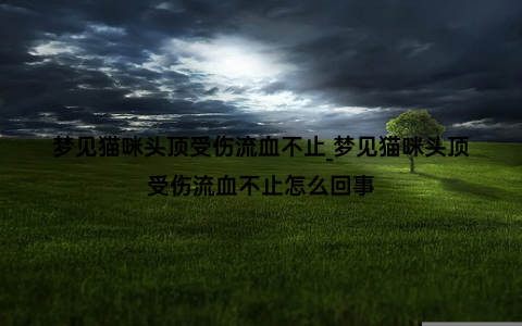 梦见猫咪头顶受伤流血不止_梦见猫咪头顶受伤流血不止怎么回事