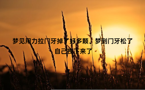 梦见用力拉门牙掉了好多颗、梦到门牙松了 自己拽下来了