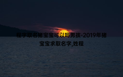 程字取名猪宝宝可以吗男孩-2019年猪宝宝求取名字,姓程