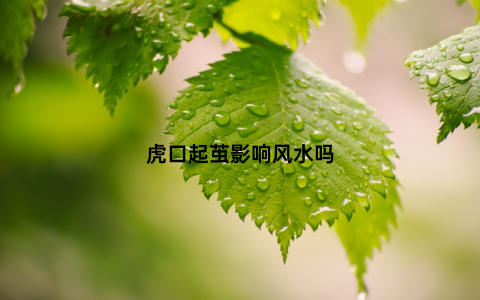 虎口起茧影响风水吗