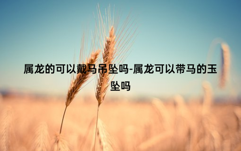 属龙的可以戴马吊坠吗-属龙可以带马的玉坠吗