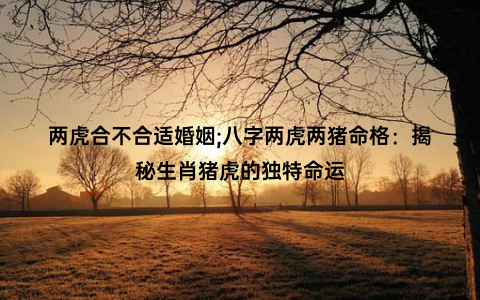 两虎合不合适婚姻;八字两虎两猪命格：揭秘生肖猪虎的独特命运