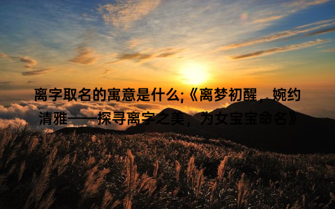 离字取名的寓意是什么;《离梦初醒，婉约清雅——探寻离字之美，为女宝宝命名》