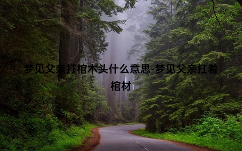 梦见父亲打棺木头什么意思-梦见父亲扛着棺材