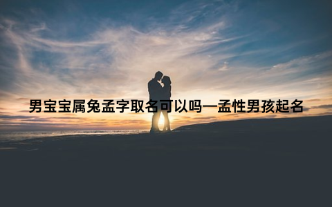 男宝宝属兔孟字取名可以吗—孟性男孩起名