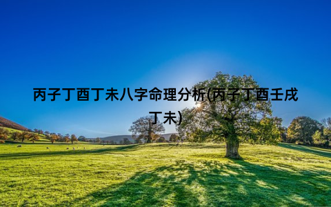 丙子丁酉丁未八字命理分析(丙子丁酉壬戌丁未)