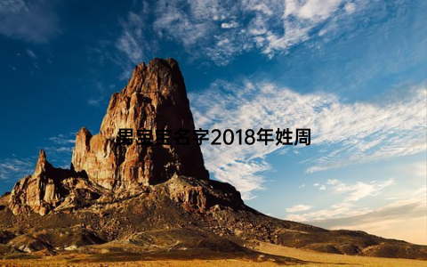 男宝宝名字2018年姓周