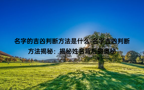 名字的吉凶判断方法是什么-名字吉凶判断方法揭秘：揭秘姓名背后的奥秘