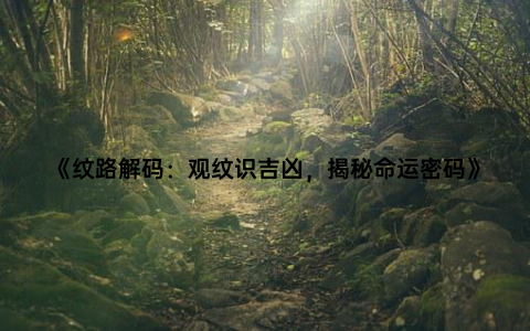 《纹路解码：观纹识吉凶，揭秘命运密码》