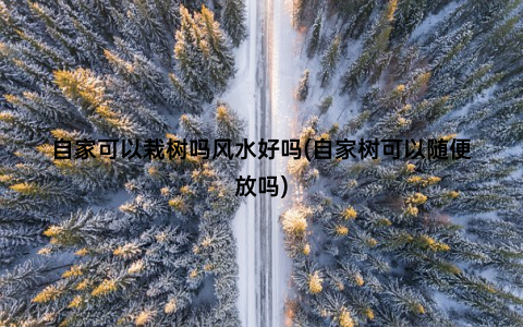 自家可以栽树吗风水好吗(自家树可以随便放吗)