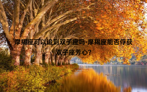 摩羯座可以追到双子座吗-摩羯座能否俘获双子座芳心？