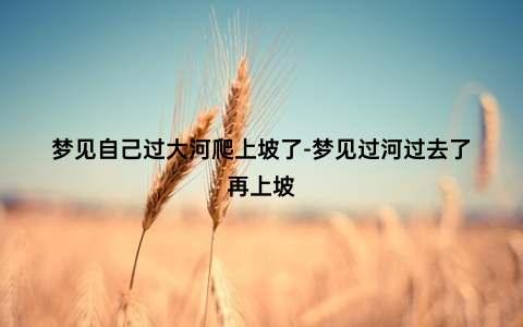 梦见自己过大河爬上坡了-梦见过河过去了再上坡