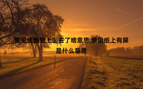 梦见纸飘到上面去了啥意思,梦见纸上有屎是什么意思