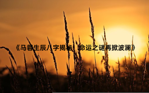 《马蓉生辰八字揭秘：命运之谜再掀波澜》