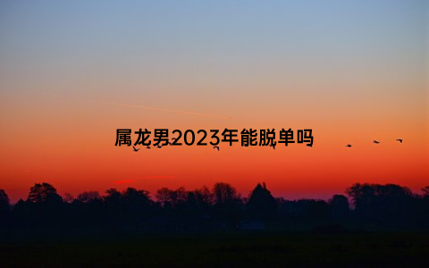 属龙男2023年能脱单吗