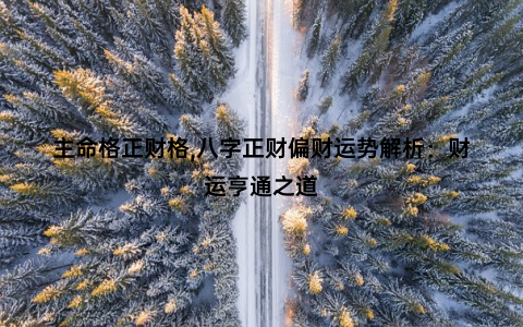 主命格正财格,八字正财偏财运势解析：财运亨通之道