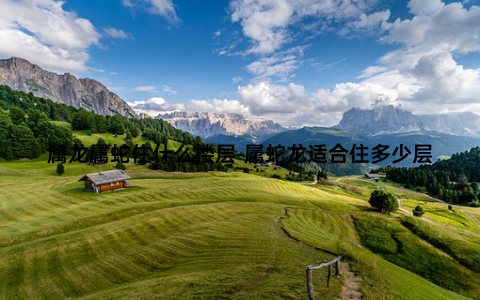 属龙属蛇住什么楼层-属蛇龙适合住多少层