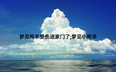 梦见羚羊受伤进家门了;梦见小羚羊