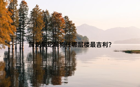 属龙属蛇属狗住哪层楼最吉利？