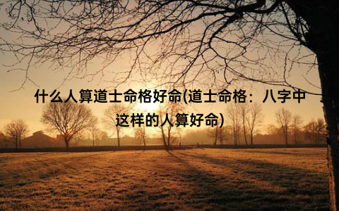 什么人算道士命格好命(道士命格：八字中这样的人算好命)