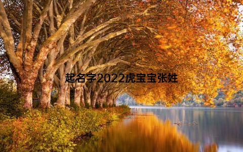 起名字2022虎宝宝张姓