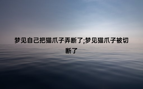 梦见自己把猫爪子弄断了;梦见猫爪子被切断了